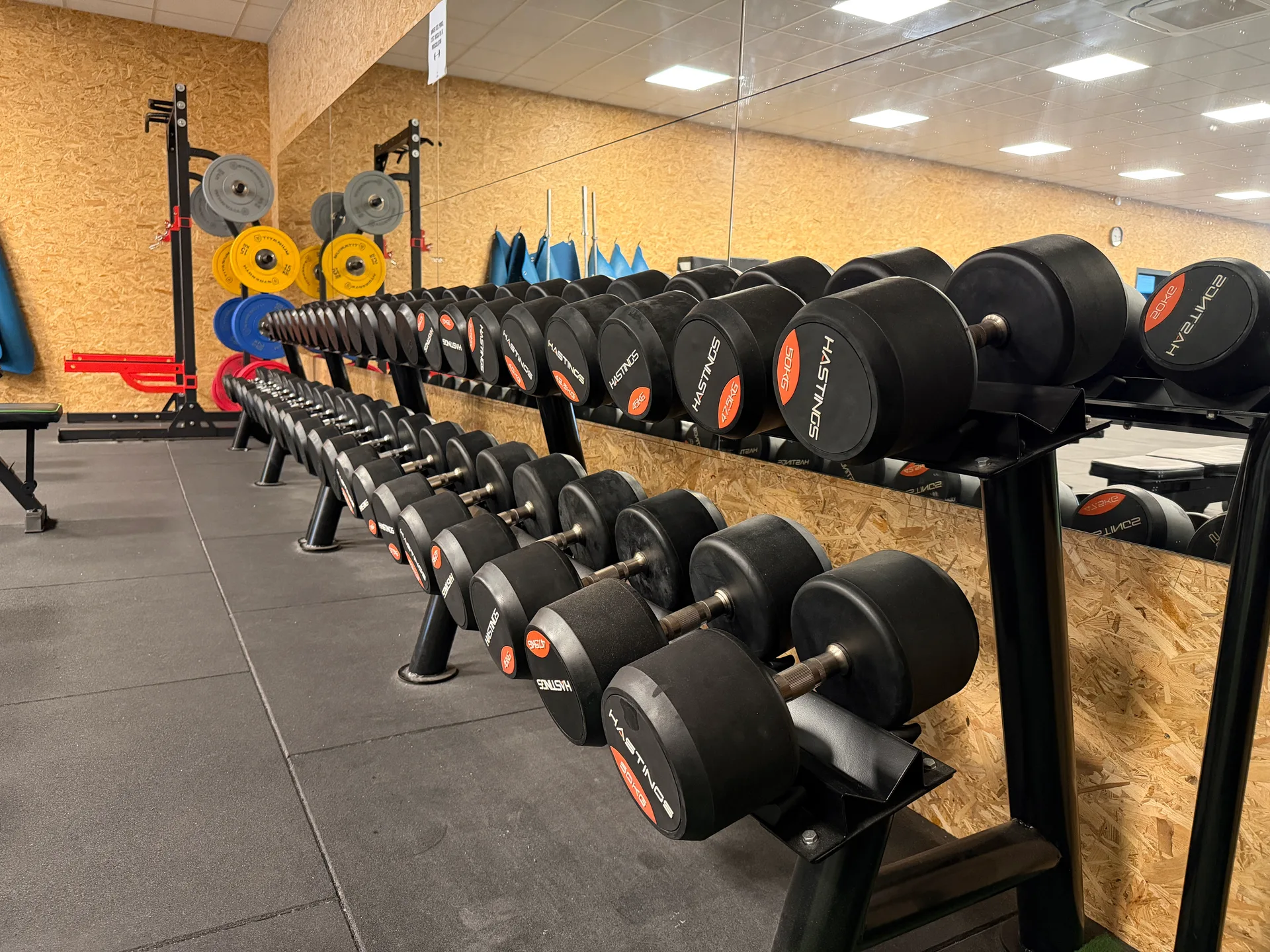 Rack d'haltères — salle de musculation