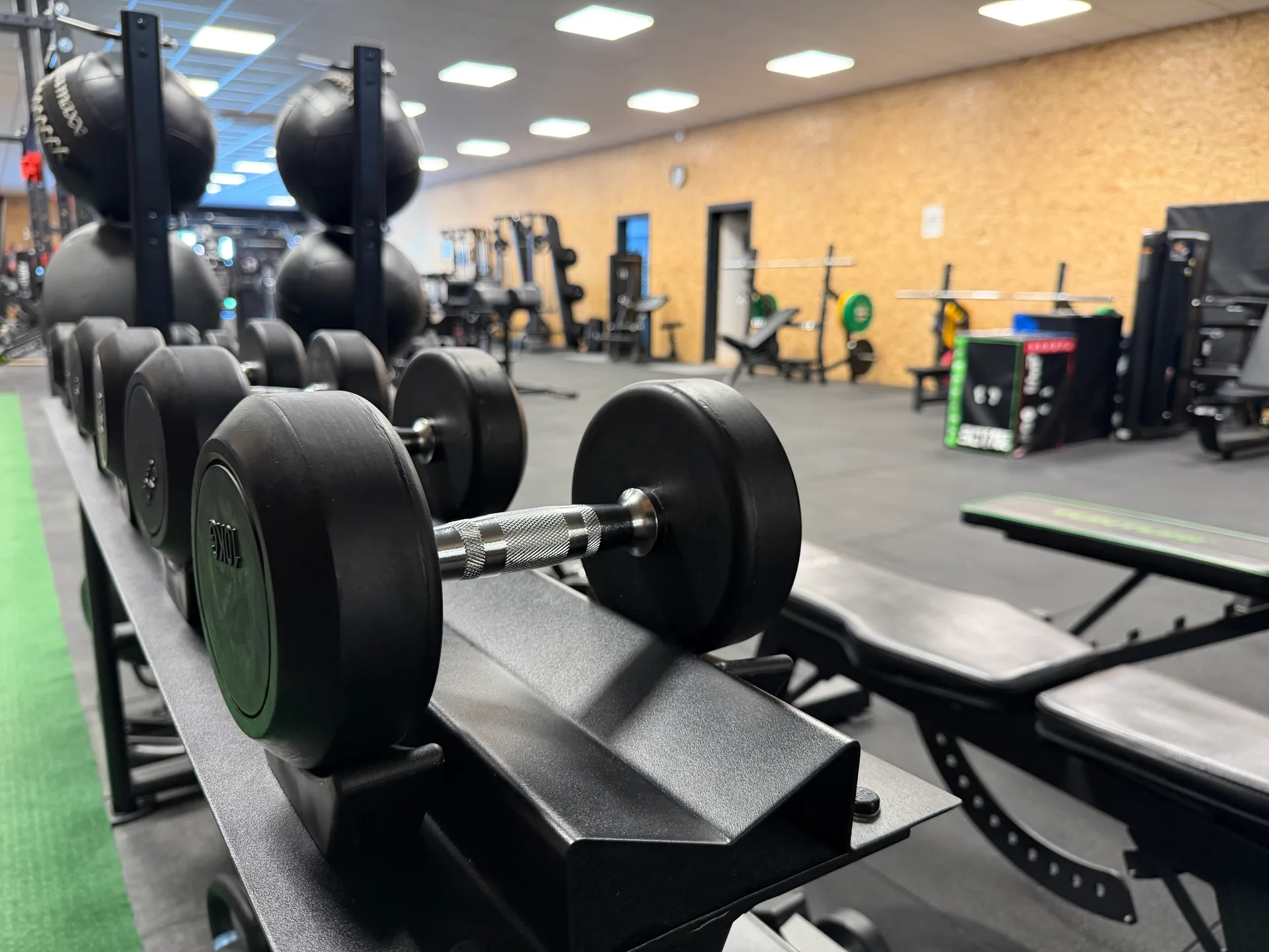 Salle de musculation